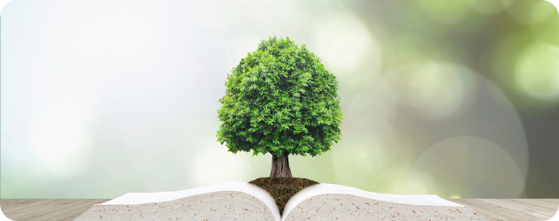 Educação Ambiental